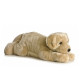 Pick a Pet Plush Line-N06403